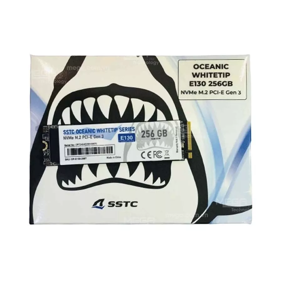 SSD SSTC 256GB E130 Plus M.2 NVMe