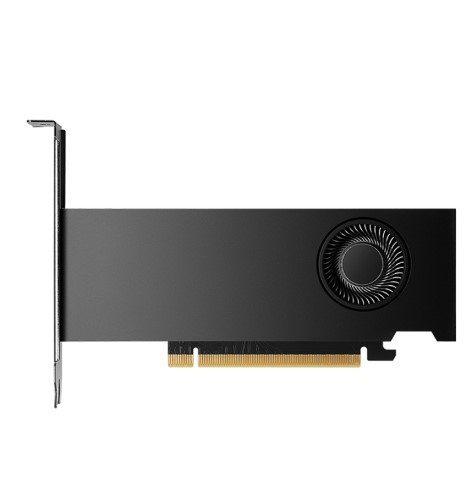 Vga Leadtek NVIDIA RTX 2000 ADA 16GB